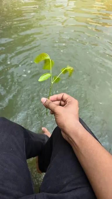 Neermathalam, A Traditional Kerala Tharavadu Palakkad 0*,  India
