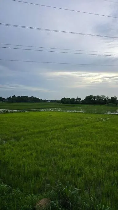 Neermathalam, A Traditional Kerala Tharavadu Palakkad Holiday home