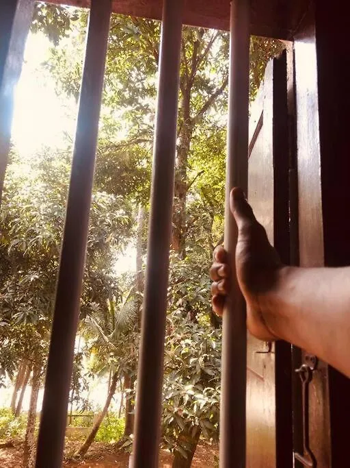 Neermathalam, A Traditional Kerala Tharavadu Palakkad Holiday home