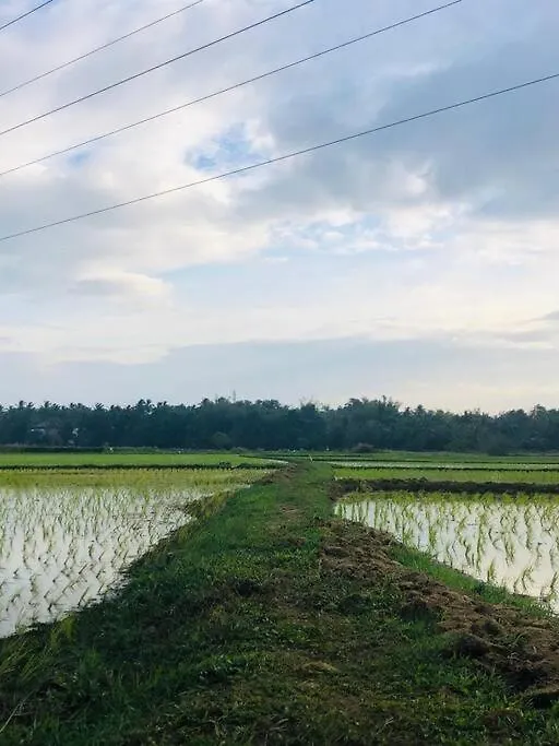 Holiday home Neermathalam, A Traditional Kerala Tharavadu Palakkad India